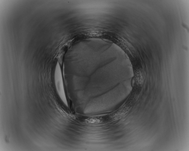 X0000097790512200804041239