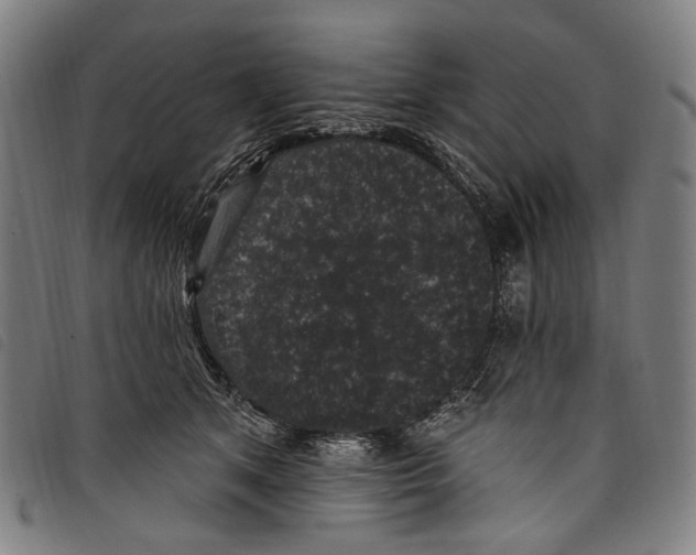 X0000097790513200804041239