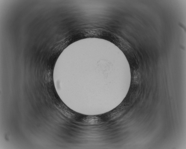 X0000097790514200804041239