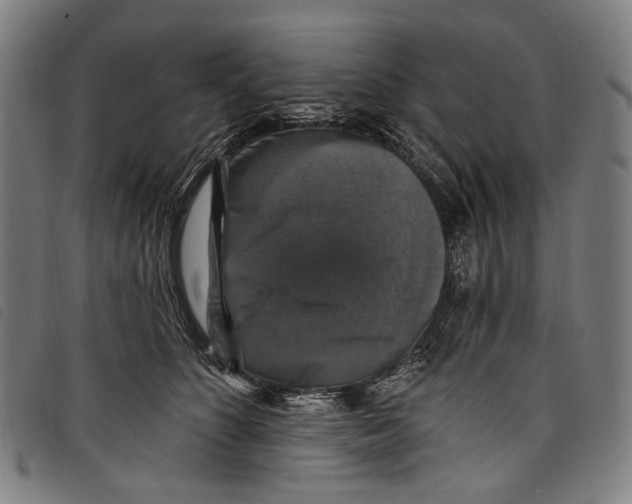 X0000097790516200804041239