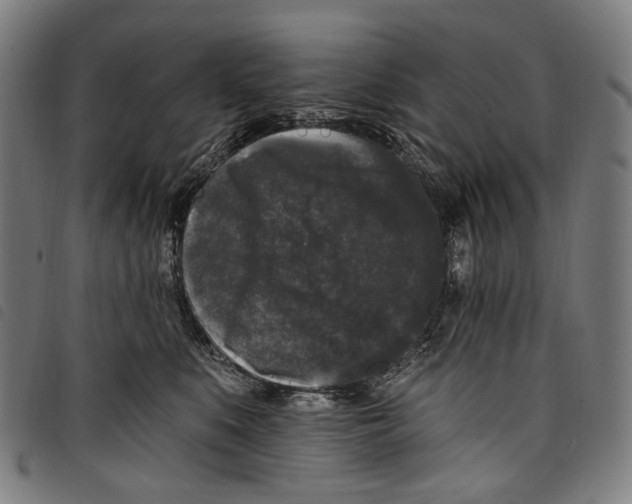 X0000097790519200804041239