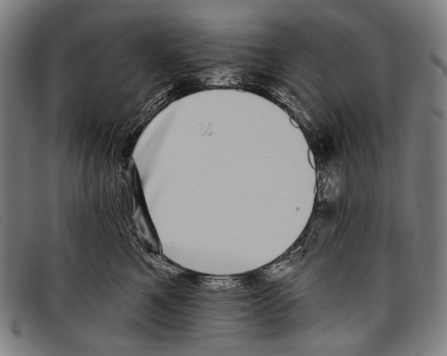 X0000097790521200804041239