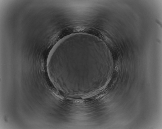 X0000097790524200804041239