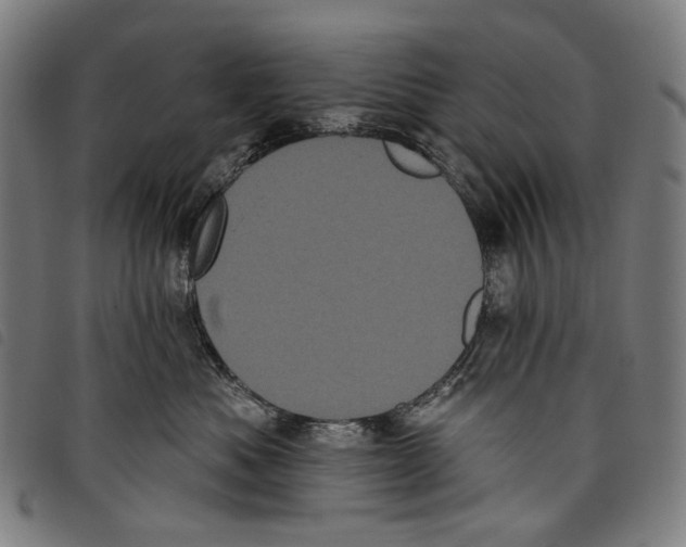 X0000097790525200804041239