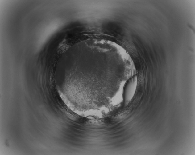 X0000097790526200804041239