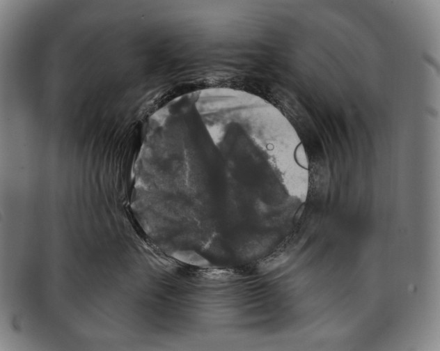 X0000097790527200804041238