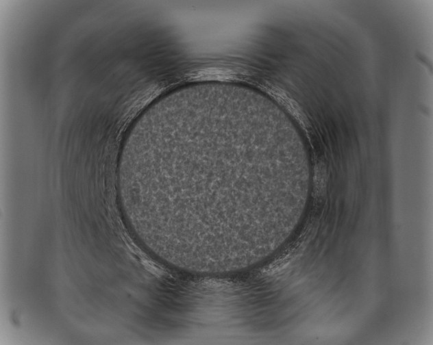 X0000097790529200804041238