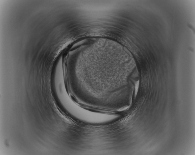 X0000097790530200804041238