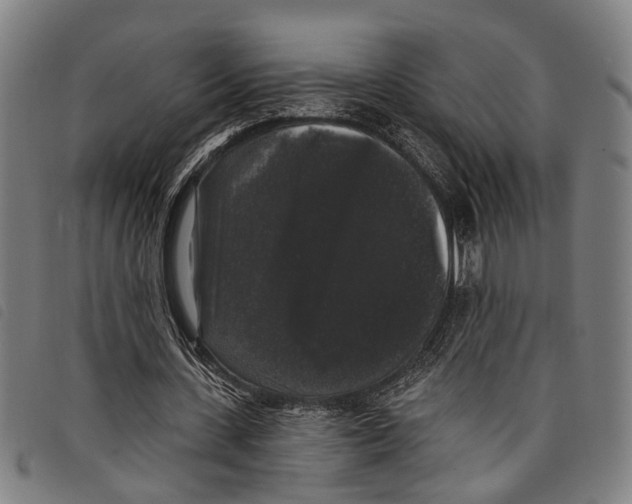 X0000097790531200804041238