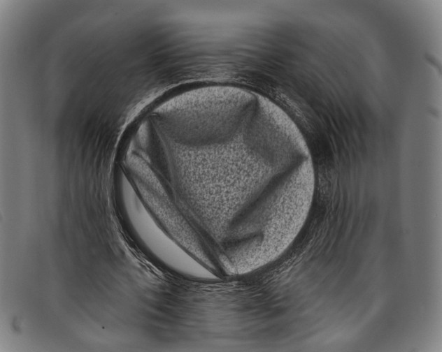 X0000097790532200804041238