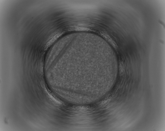 X0000097790533200804041238