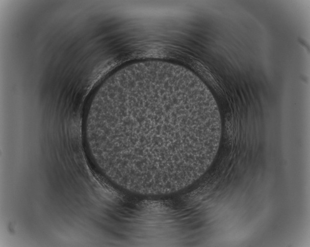 X0000097790534200804041238