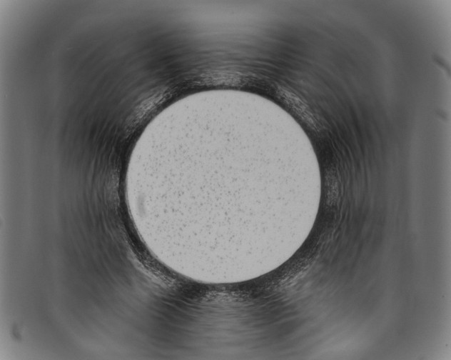 X0000097790538200804041238