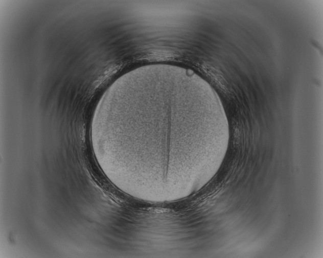 X0000097790539200804041238