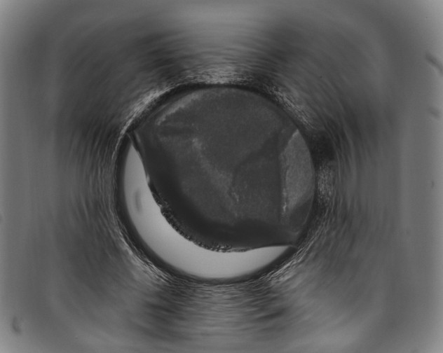 X0000097790540200804041238