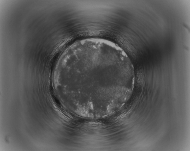 X0000097790542200804041238