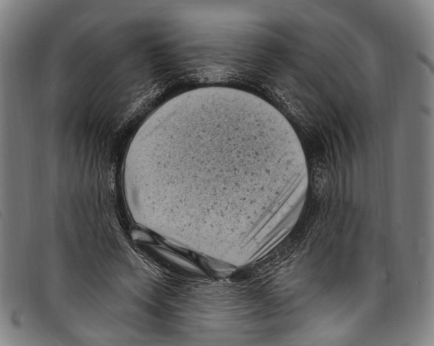 X0000097790543200804041238