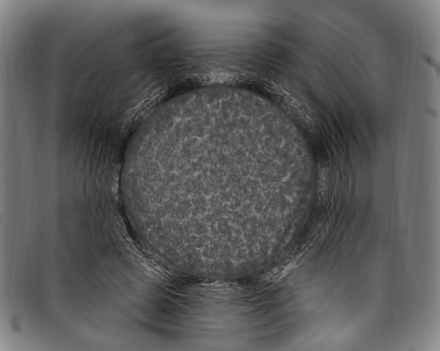 X0000097790545200804041238