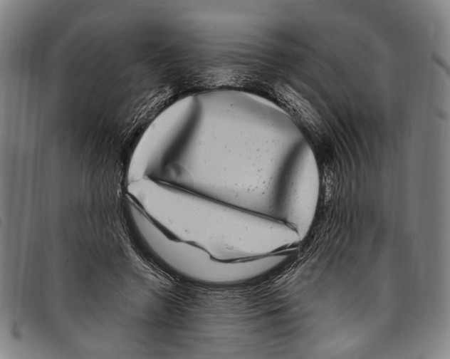 X0000097790546200804041238