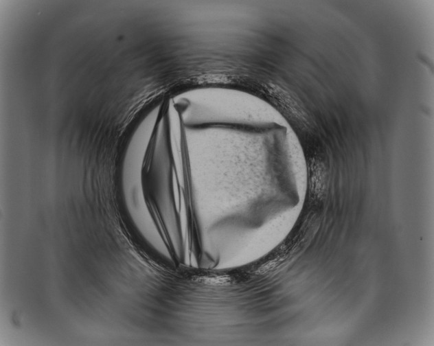 X0000097790548200804041238