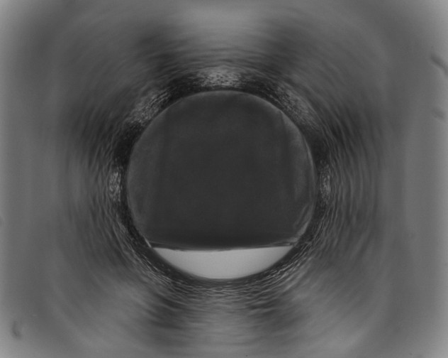 X0000097790551200804041238