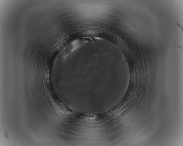 X0000097790552200804041238