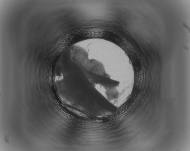 X0000097790553200804041238