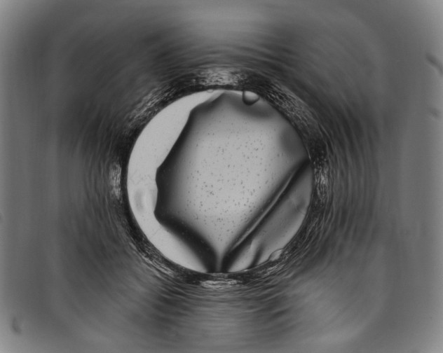 X0000097790556200804041238
