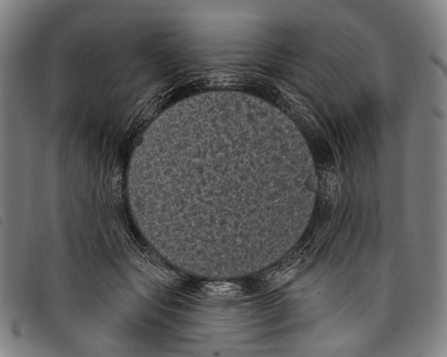 X0000097790557200804041238