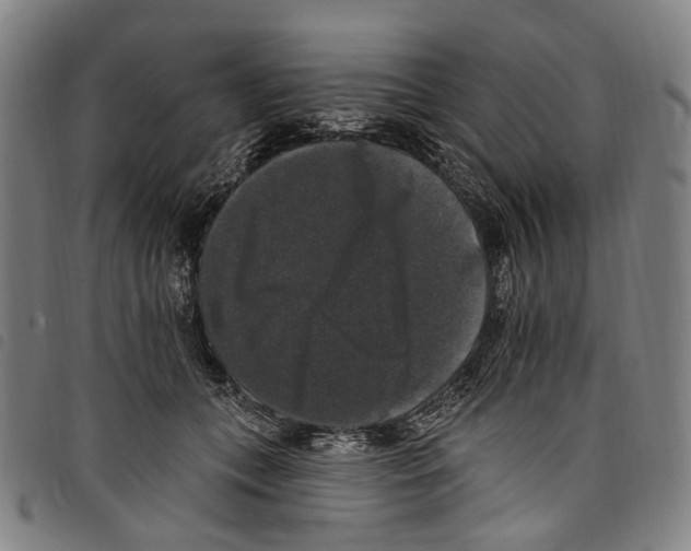 X0000097790559200804041238