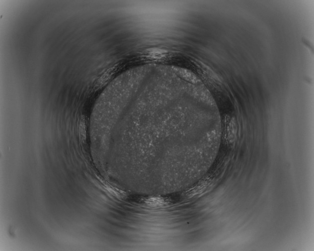 X0000097790562200804041238