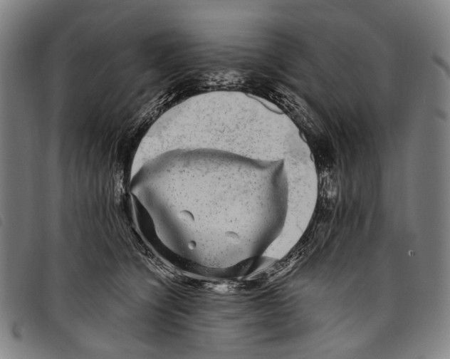 X0000097790564200804041238