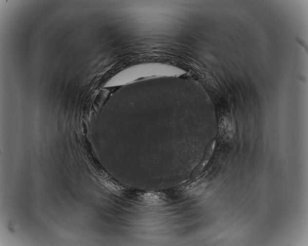 X0000097790566200804041238