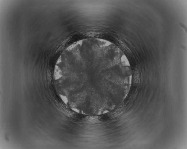 X0000097790569200804041238