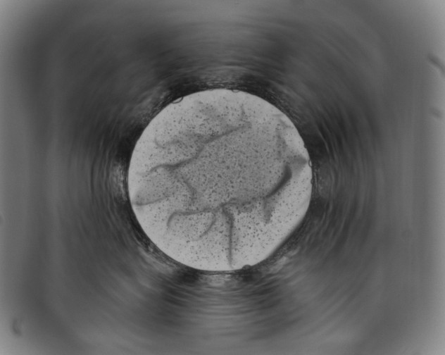 X0000097790575200804041238