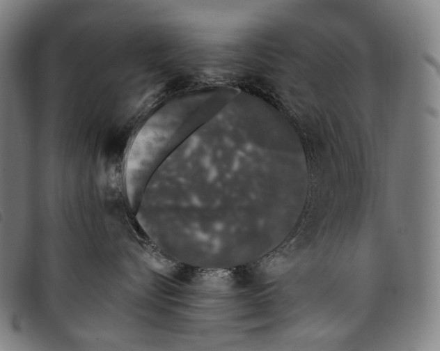 X0000097790576200804041238