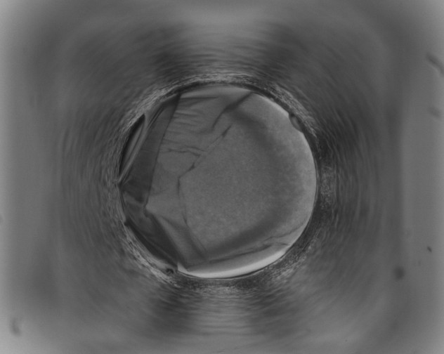 X0000097790577200804041238