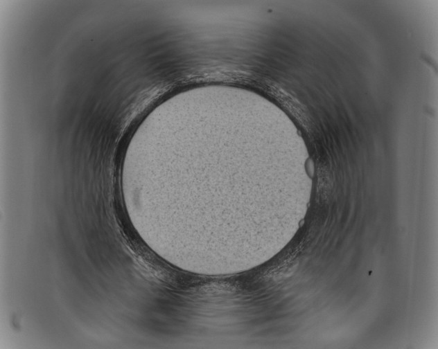 X0000097790578200804041238