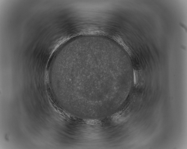 X0000097790579200804041238