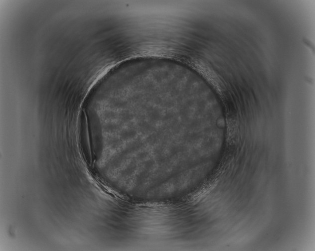 X0000097790580200804041238