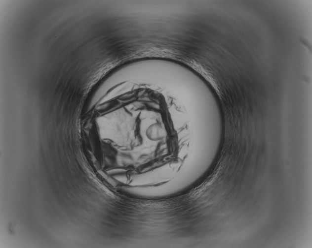 X0000097790581200804041238