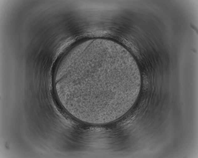 X0000097790582200804041238