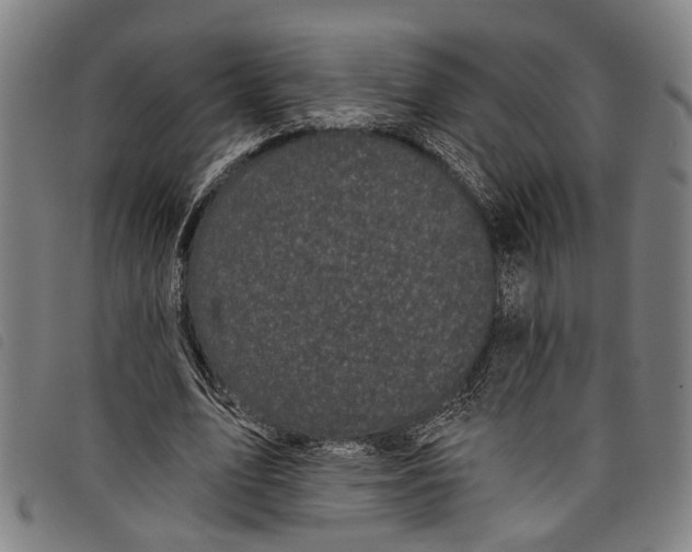 X0000097790583200804041238