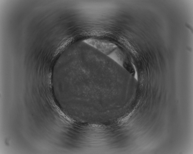 X0000097790585200804041238
