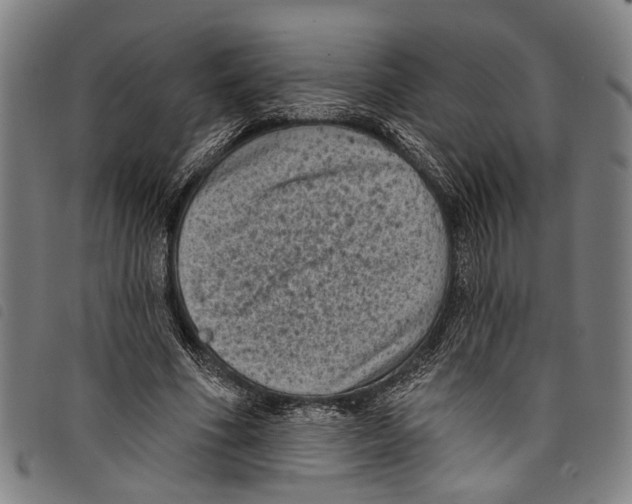 X0000097790586200804041238