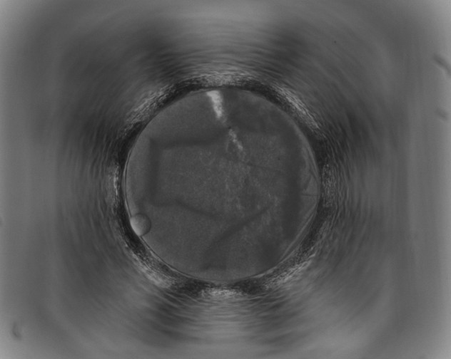 X0000097790590200804041238