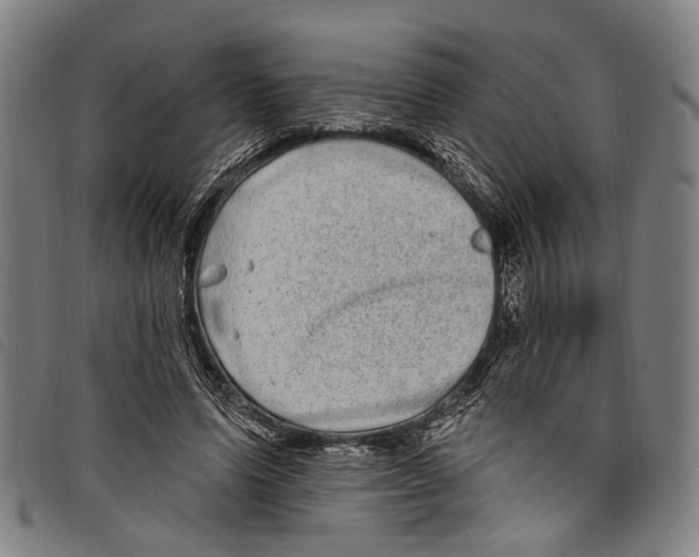 X0000097790591200804041238