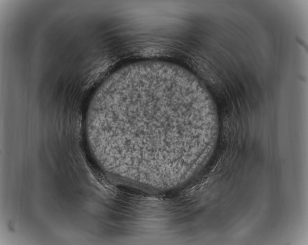 X0000097790592200804041238