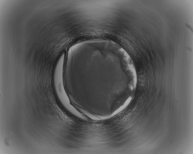 X0000097790593200804041238