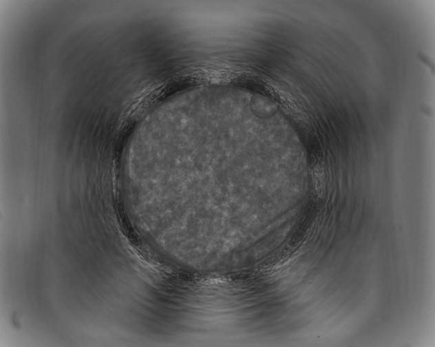 X0000097790594200804041238